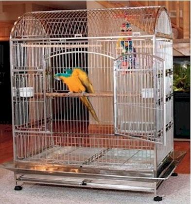 Какво трябва да бъде добра клетка за папагали?