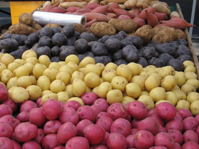 Как да отглеждаме картофи в чанта? Методи за отглеждане на картофи