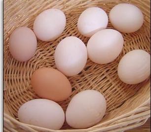 хранителна стойност на варено яйце 
