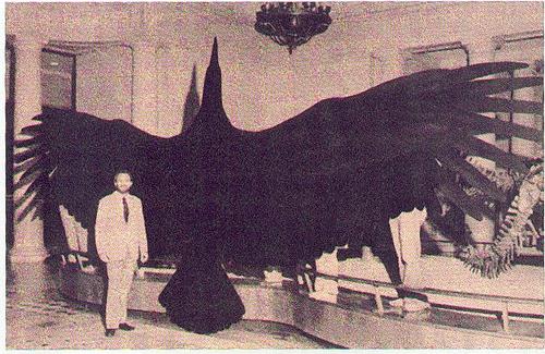 Най-голямата птица в света. Коя е тя?