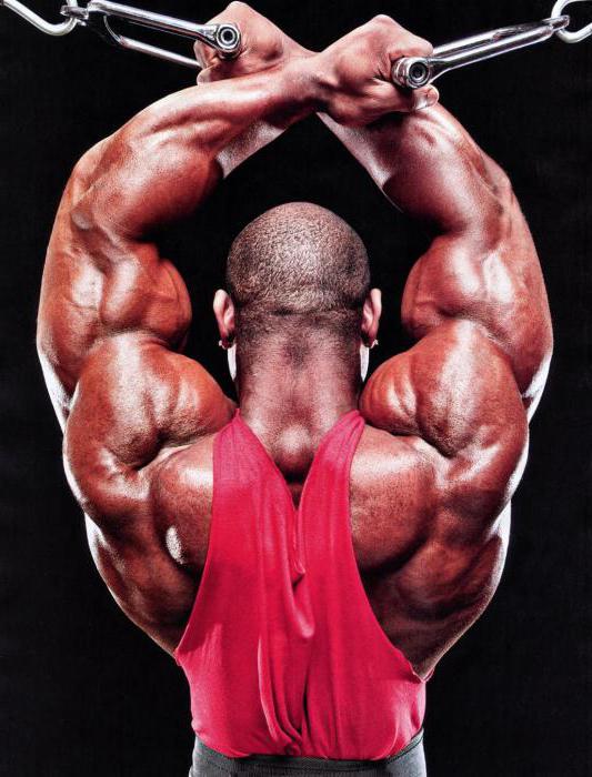 Програмата за трениране на Dexter Jackson 