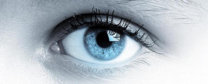 Сближаване на очите: определение. Как виждаме? Очни функции